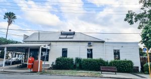 Dandelion & Driftwood