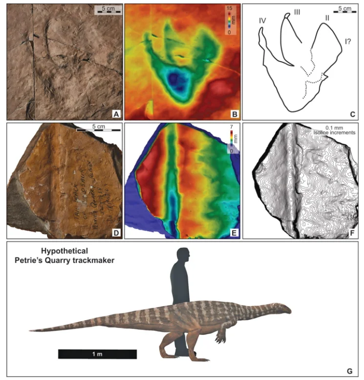 Australia’s oldest dinosaur trace fossil